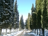 Spineto Abbey - road on a winter day